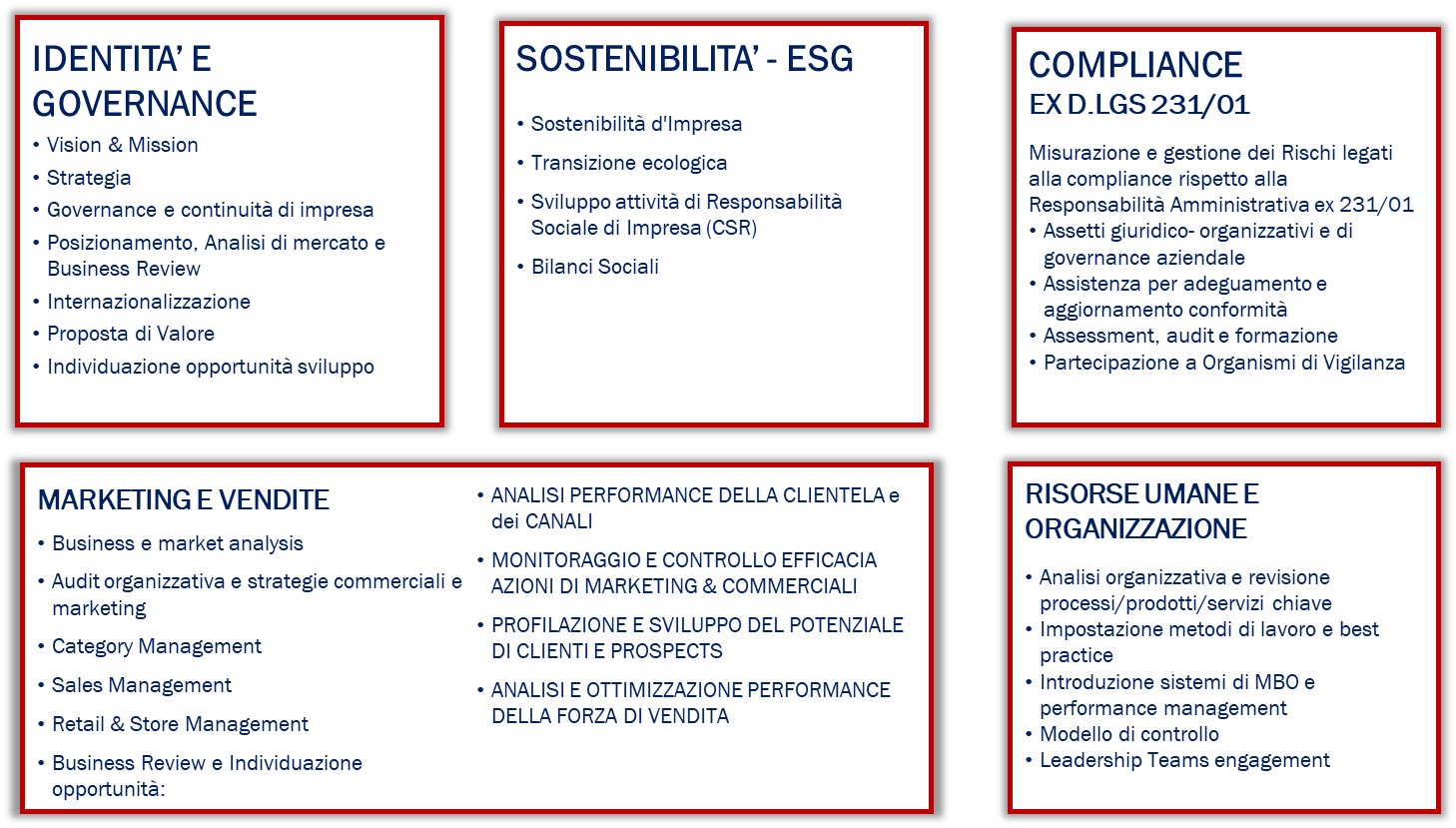 consulenza
